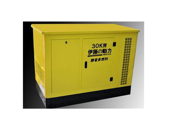 30KW多燃料發電機 30KW多燃料發電機
